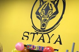 Спортивный клуб Staya Box, с рейтингом 3.5 - находится по адресу Минск, улица Тимирязева, 9 