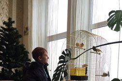 Зоосалон Милорд, с рейтингом 2.3 - находится по адресу Минск, проспект Машерова, 9 