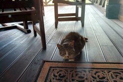 Загородный эко-клуб Три Медведя, с рейтингом 4 - находится по адресу Витебская область, поселок Устье 