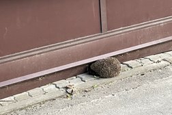 Terra Pizza, с рейтингом 3.7 - находится по адресу Минск, улица Бурдейного, 13 