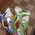 фотография Соседи Экспресс