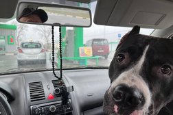 АЗС Белоруснефть, с рейтингом 5 - находится по адресу Гомель, улица Богдана Хмельницкого, 101 