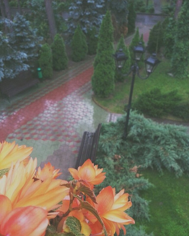 фотография Санатория Солнечный в деревне Гули